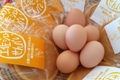 土佐ジローの卵をたっぷり使った「土佐ジローせんべい」ができました。（2012年3月）